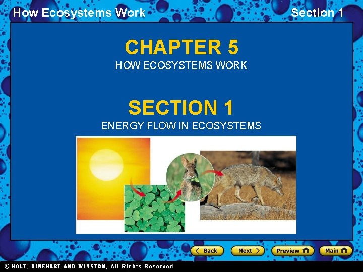 How Ecosystems Work CHAPTER 5 HOW ECOSYSTEMS WORK SECTION 1 ENERGY FLOW IN ECOSYSTEMS