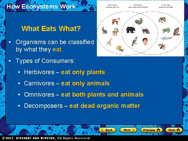 How Ecosystems Work What Eats What? • Organisms can be classified by what they