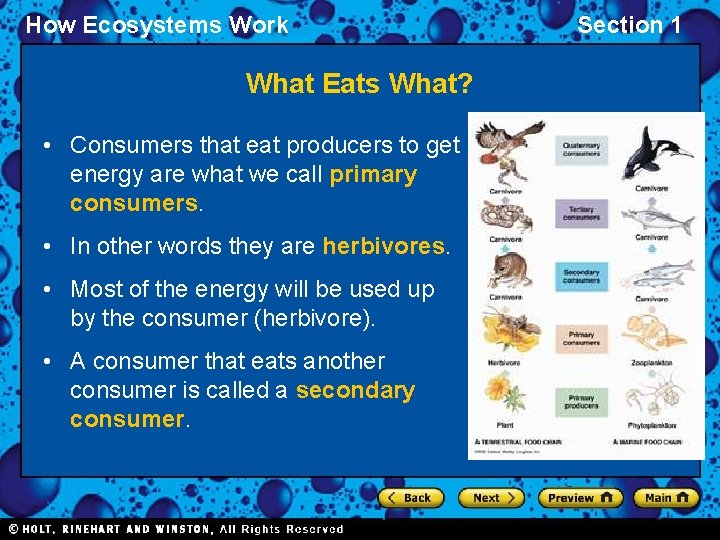 How Ecosystems Work What Eats What? • Consumers that eat producers to get energy