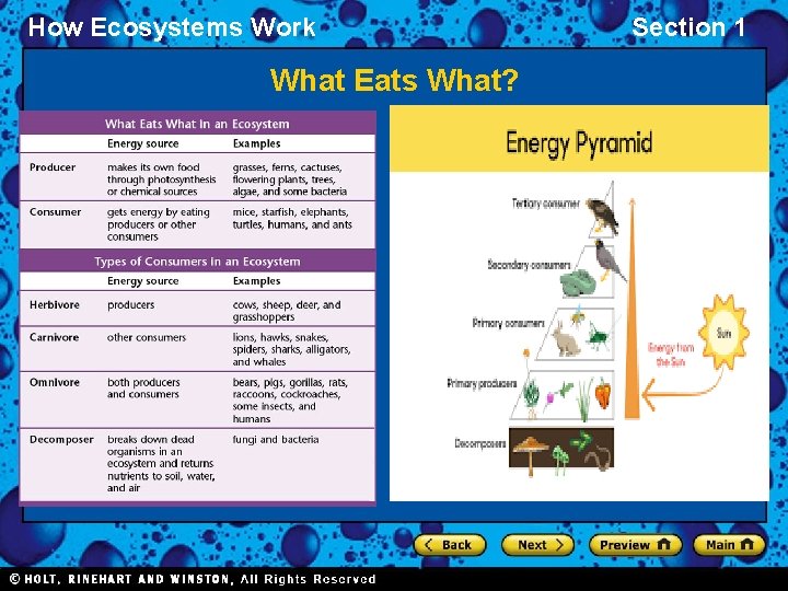 How Ecosystems Work What Eats What? Section 1 