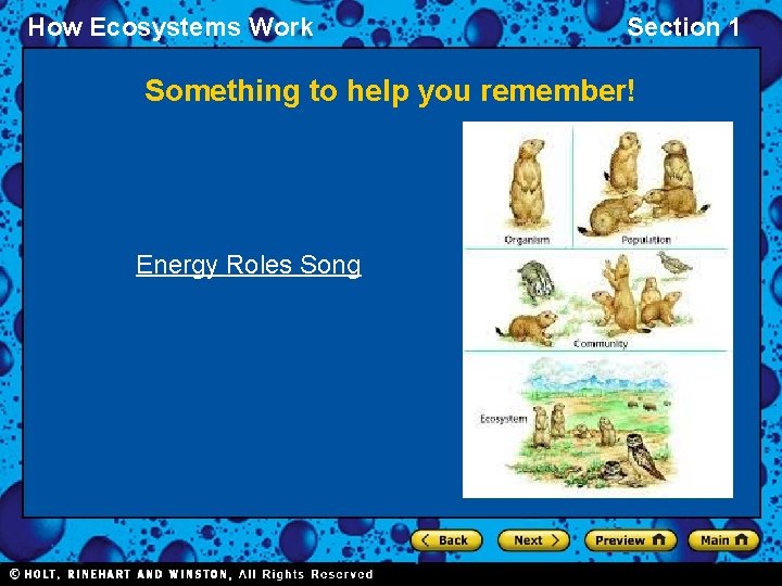 How Ecosystems Work Section 1 Something to help you remember! Energy Roles Song 