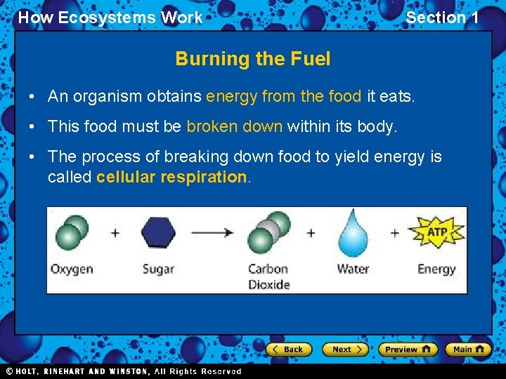 How Ecosystems Work Section 1 Burning the Fuel • An organism obtains energy from