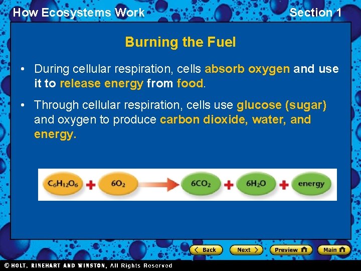 How Ecosystems Work Section 1 Burning the Fuel • During cellular respiration, cells absorb