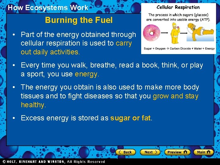 How Ecosystems Work Section 1 Burning the Fuel • Part of the energy obtained