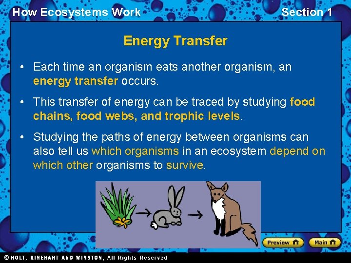 How Ecosystems Work Section 1 Energy Transfer • Each time an organism eats another