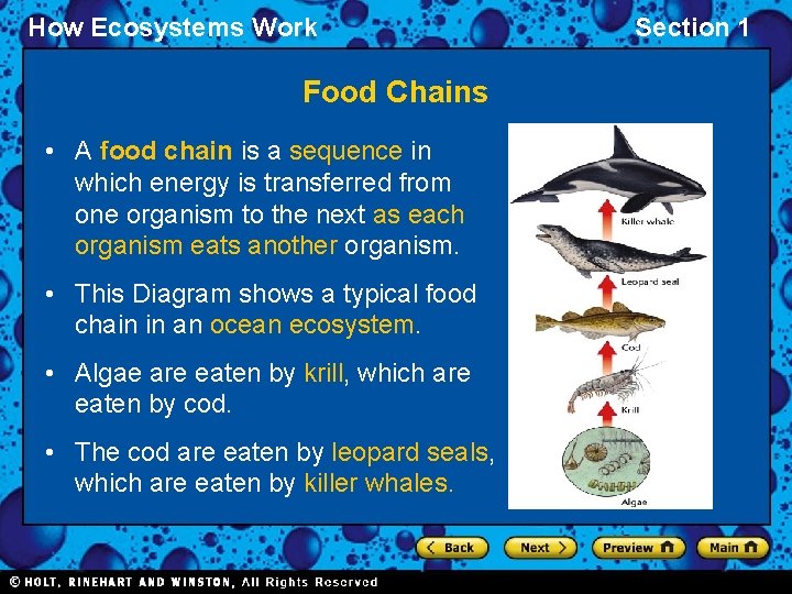 How Ecosystems Work Food Chains • A food chain is a sequence in which