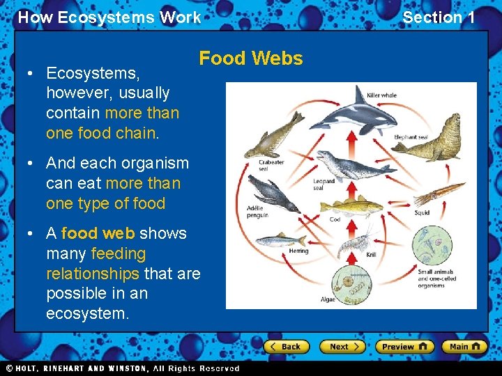 How Ecosystems Work • Ecosystems, however, usually contain more than one food chain. Food