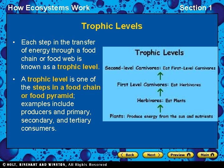 How Ecosystems Work Trophic Levels • Each step in the transfer of energy through