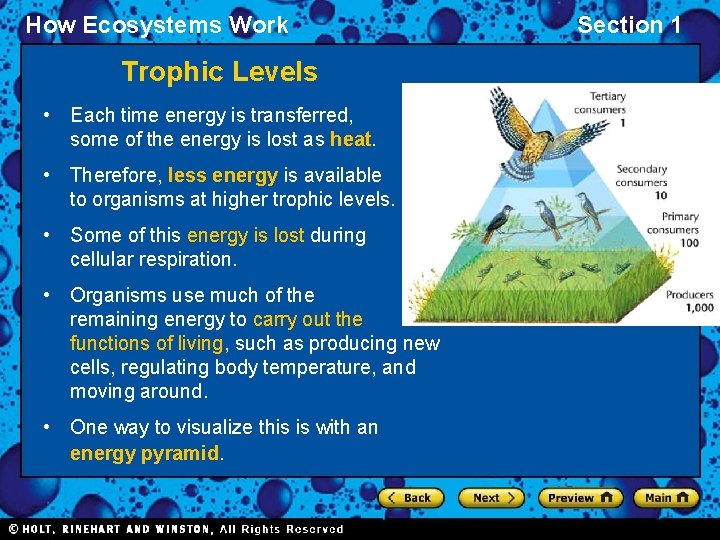 How Ecosystems Work Trophic Levels • Each time energy is transferred, some of the