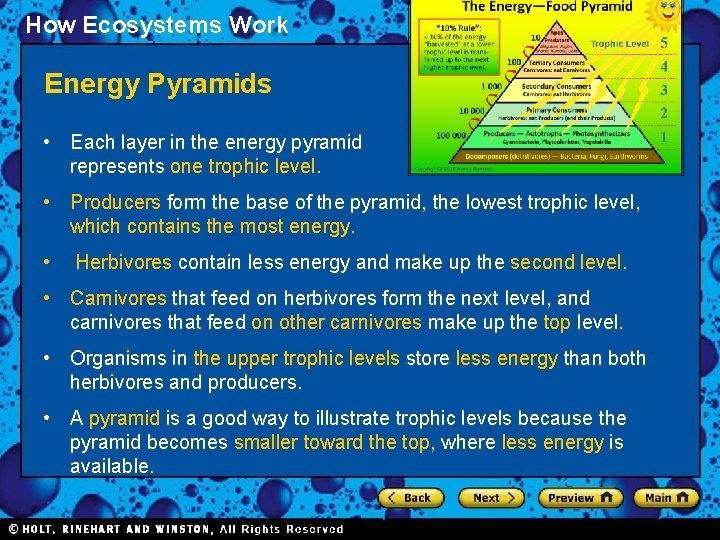 How Ecosystems Work Section 1 Energy Pyramids • Each layer in the energy pyramid