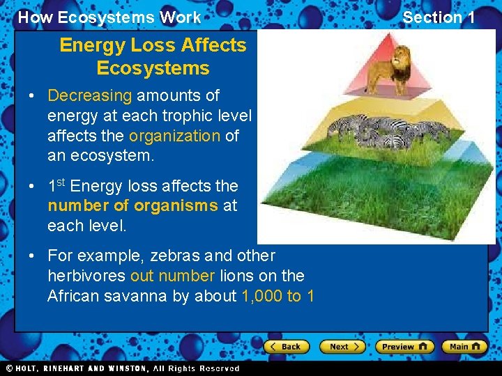 How Ecosystems Work Energy Loss Affects Ecosystems • Decreasing amounts of energy at each