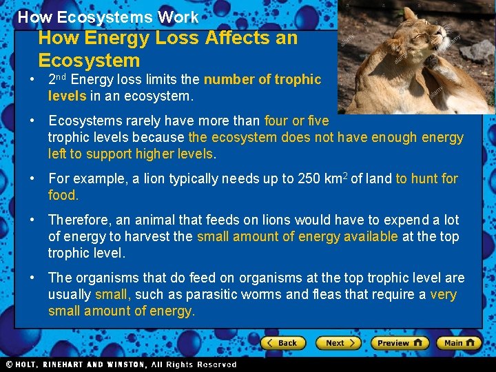 How Ecosystems Work Section 1 How Energy Loss Affects an Ecosystem • 2 nd