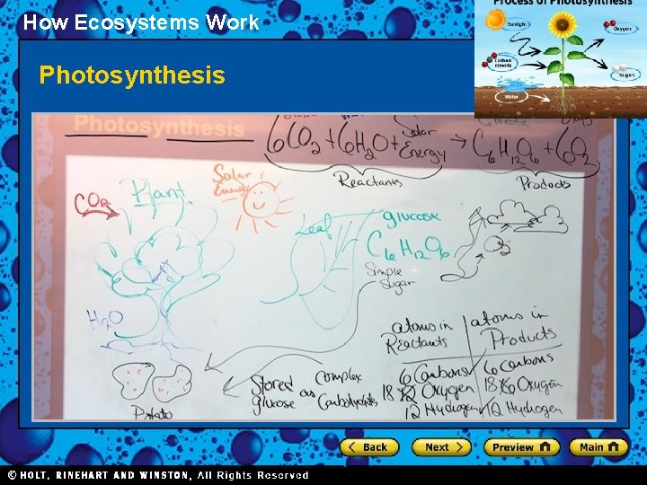 How Ecosystems Work Photosynthesis Section 1 