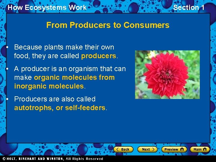 How Ecosystems Work From Producers to Consumers • Because plants make their own food,