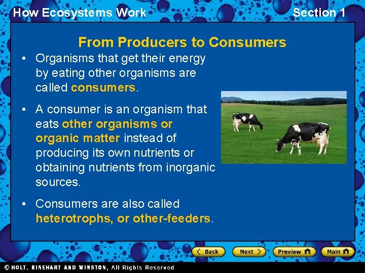 How Ecosystems Work From Producers to Consumers • Organisms that get their energy by