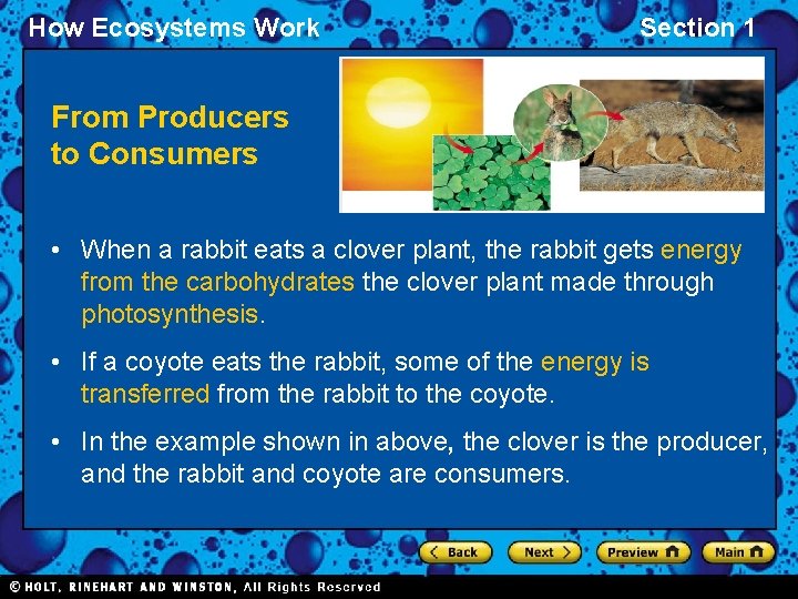 How Ecosystems Work Section 1 From Producers to Consumers • When a rabbit eats