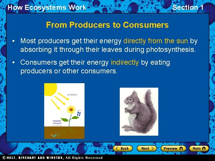 How Ecosystems Work Section 1 From Producers to Consumers • Most producers get their