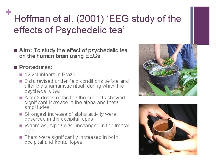 + Hoffman et al. (2001) ‘EEG study of the effects of Psychedelic tea’ n