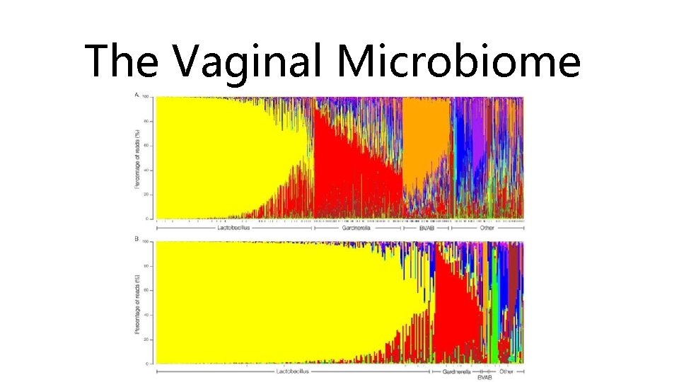 The Vaginal Microbiome 