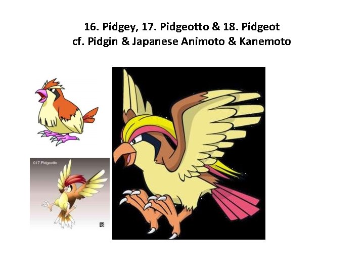 16. Pidgey, 17. Pidgeotto & 18. Pidgeot cf. Pidgin & Japanese Animoto & Kanemoto