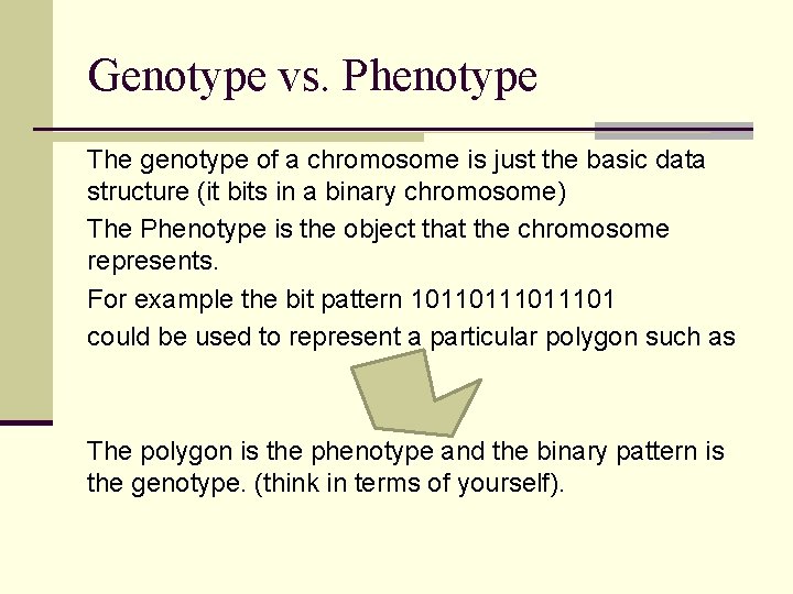 Genotype vs. Phenotype The genotype of a chromosome is just the basic data structure
