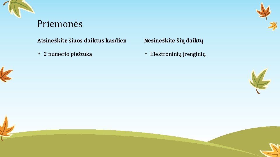 Priemonės Atsineškite šiuos daiktus kasdien Nesineškite šių daiktų • 2 numerio pieštuką • Elektroninių