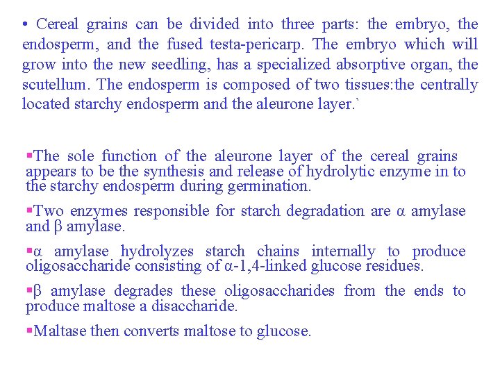  • Cereal grains can be divided into three parts: the embryo, the endosperm,