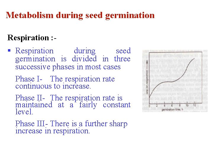 Metabolism during seed germination Respiration : - § Respiration during seed germination is divided