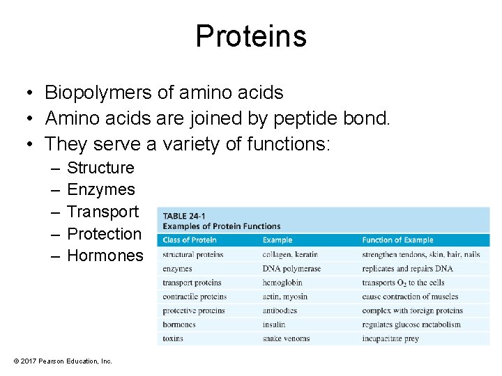 Proteins • Biopolymers of amino acids • Amino acids are joined by peptide bond.