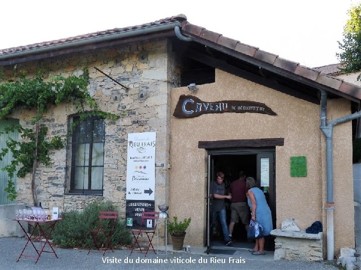 Visite du domaine viticole du Rieu Frais 