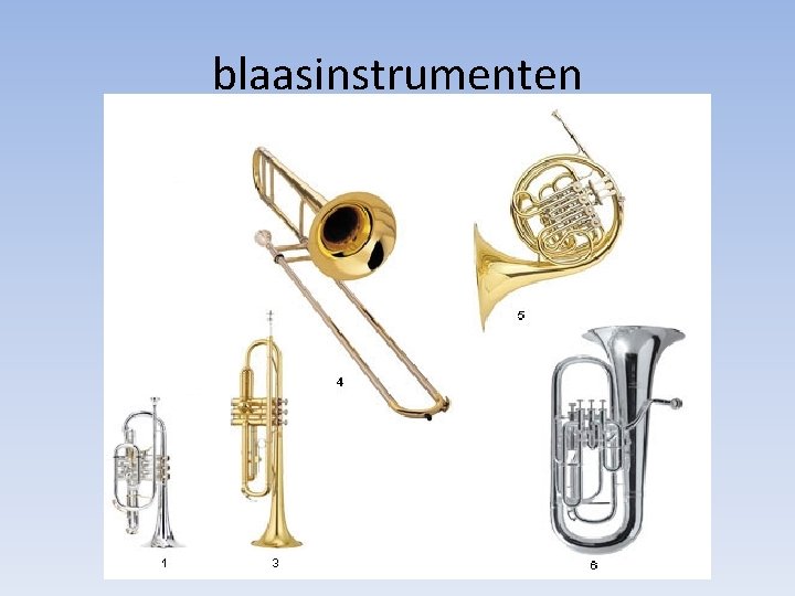 blaasinstrumenten 