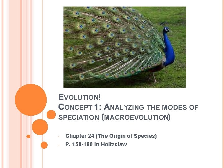 EVOLUTION! CONCEPT 1: ANALYZING THE MODES OF SPECIATION (MACROEVOLUTION) - Chapter 24 (The Origin EVOLUTION! CONCEPT 1: ANALYZING THE MODES OF SPECIATION (MACROEVOLUTION) - Chapter 24 (The Origin