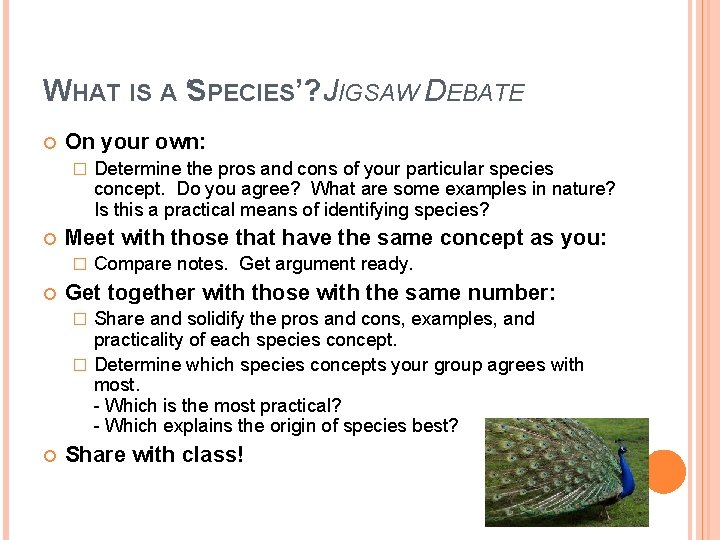 WHAT IS A ‘SPECIES’? JIGSAW DEBATE On your own: � Meet with those that WHAT IS A ‘SPECIES’? JIGSAW DEBATE On your own: � Meet with those that