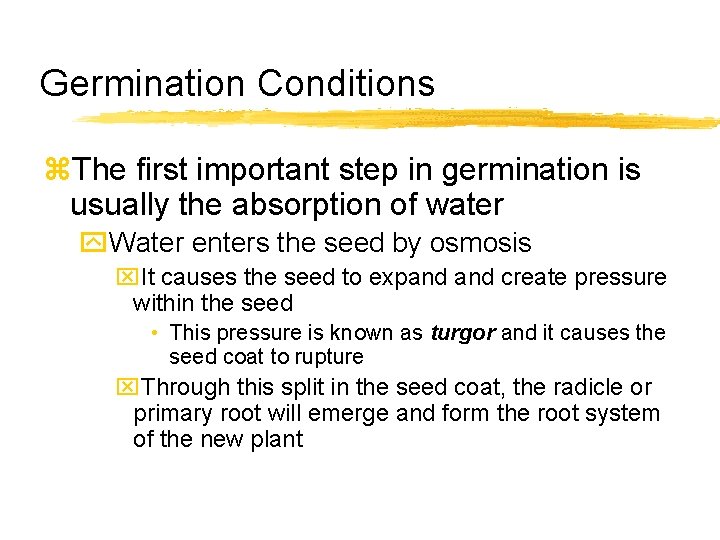 Germination Conditions z. The first important step in germination is usually the absorption of