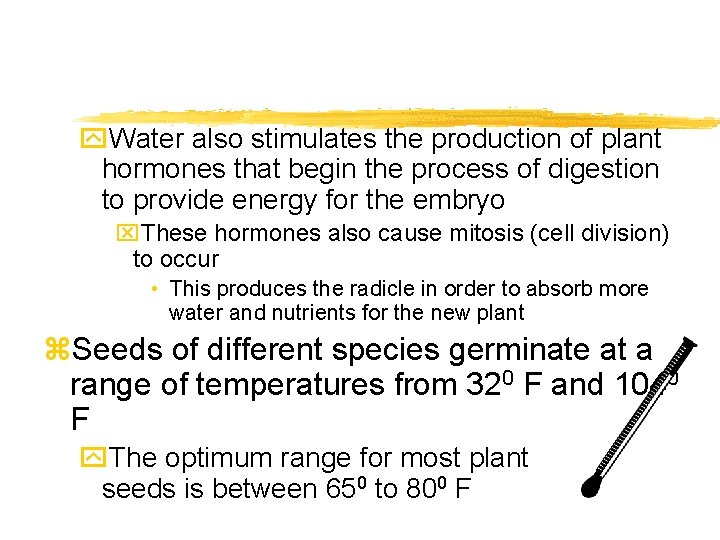 y. Water also stimulates the production of plant hormones that begin the process of