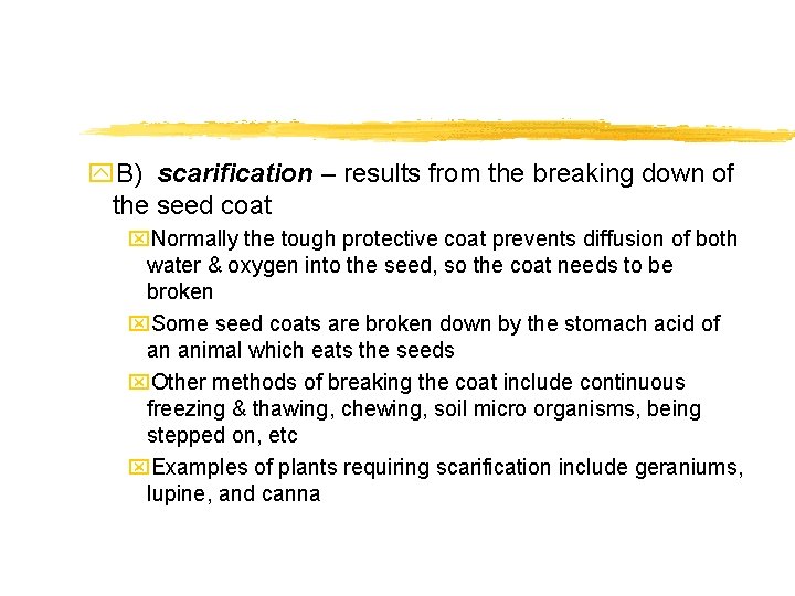 y. B) scarification – results from the breaking down of the seed coat x.