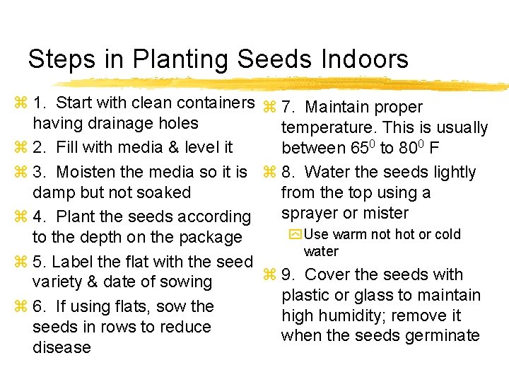 Steps in Planting Seeds Indoors z 1. Start with clean containers z 7. Maintain