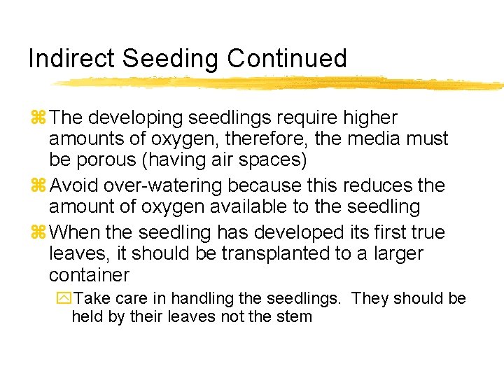 Indirect Seeding Continued z The developing seedlings require higher amounts of oxygen, therefore, the