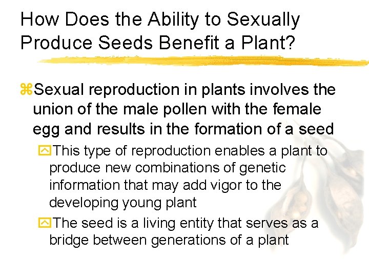 How Does the Ability to Sexually Produce Seeds Benefit a Plant? z. Sexual reproduction
