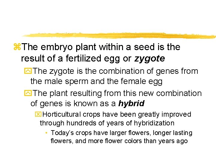 z. The embryo plant within a seed is the result of a fertilized egg