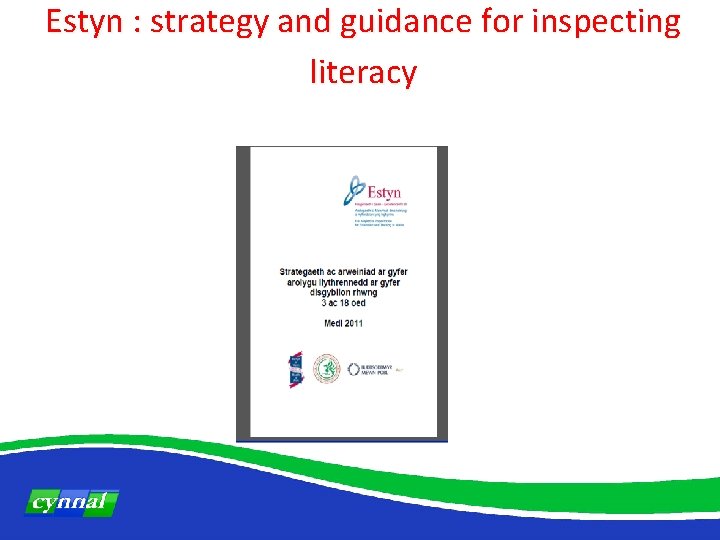 Estyn : strategy and guidance for inspecting literacy 