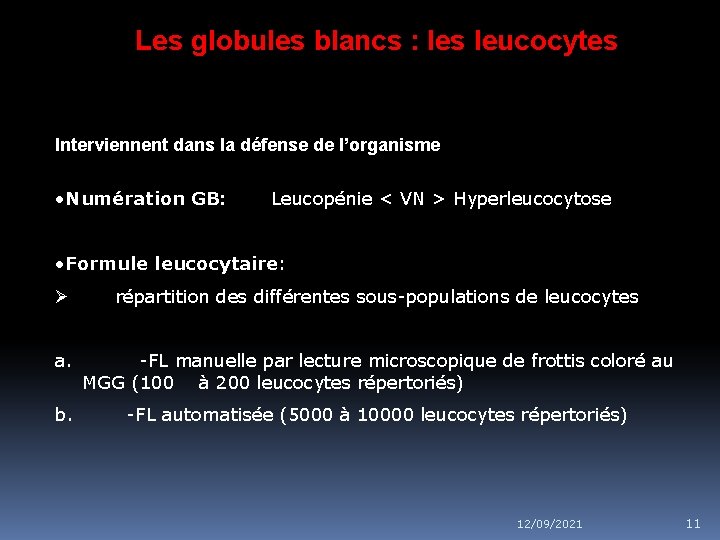 Les globules blancs : les leucocytes Interviennent dans la défense de l’organisme • Numération