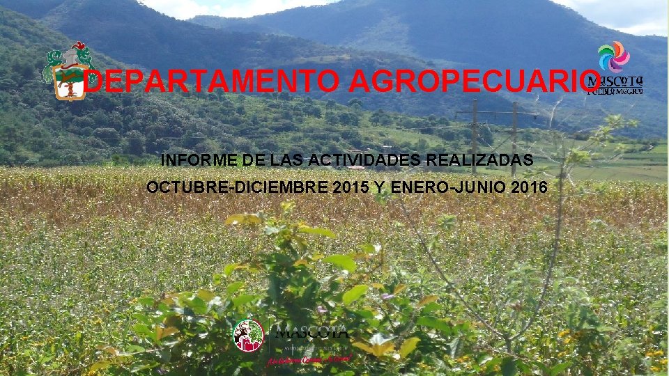 DEPARTAMENTO AGROPECUARIO INFORME DE LAS ACTIVIDADES REALIZADAS OCTUBRE-DICIEMBRE 2015 Y ENERO-JUNIO 2016 