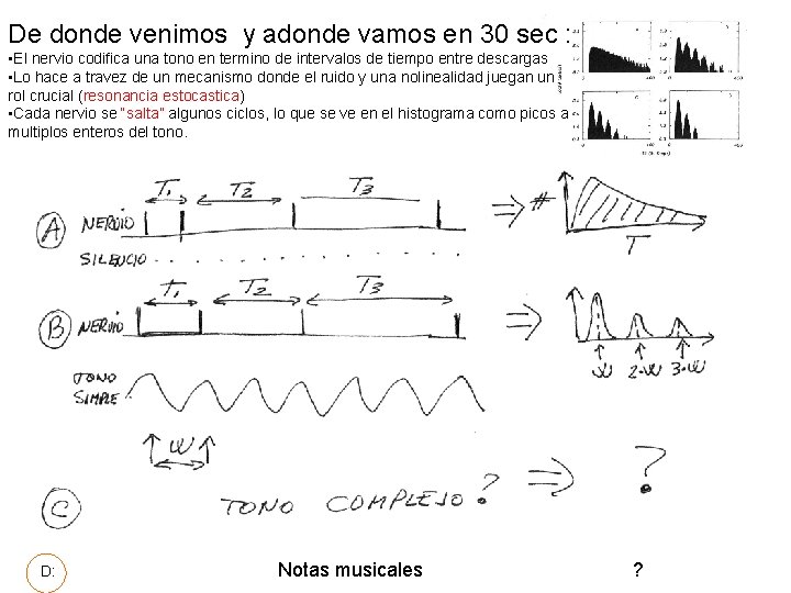 De donde venimos y adonde vamos en 30 sec : • El nervio codifica