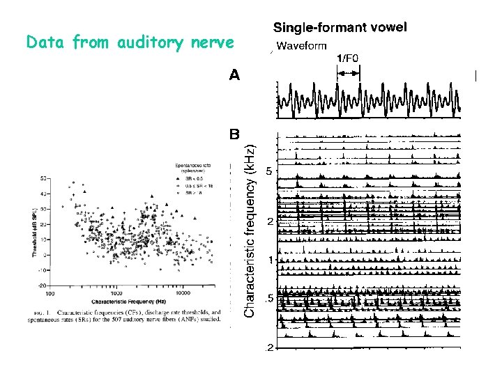 Data from auditory nerve 