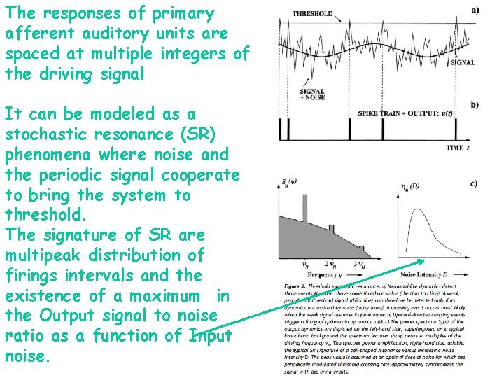 The responses of primary afferent auditory units are spaced at multiple integers of the