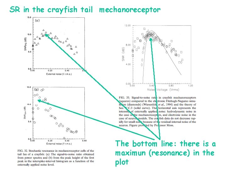 SR in the crayfish tail mechanoreceptor The bottom line: there is a maximun (resonance)