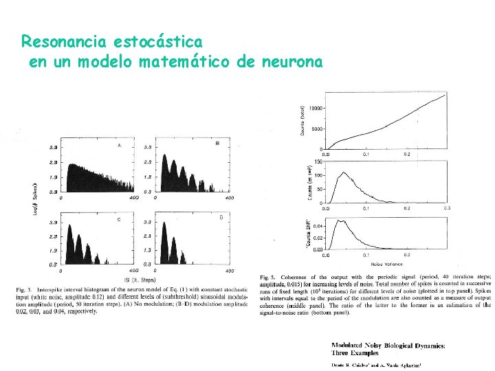 Resonancia estocástica en un modelo matemático de neurona 