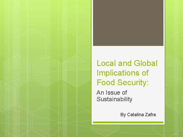 Local and Global Implications of Food Security: An Issue of Sustainability By Catalina Zafra