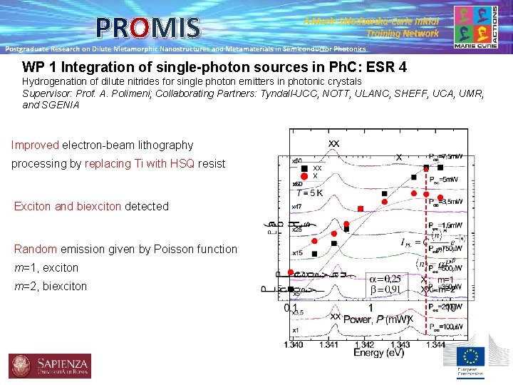 PROMIS A Marie Skłodowska-Curie Initial Training Network Postgraduate Research on Dilute Metamorphic Nanostructures and